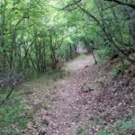 Thessaloniki to Naoussa, Wine Tasting Tour  Private Day Trip - Pickup from Thessaloniki and the Waterfalls of Metamorfosis