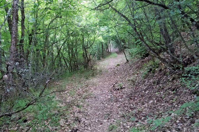 Thessaloniki to Naoussa, Wine Tasting Tour  Private Day Trip - Pickup from Thessaloniki and the Waterfalls of Metamorfosis