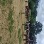 Thessaloniki:Horse Riding in a farm - The Farm Location and Its Charm