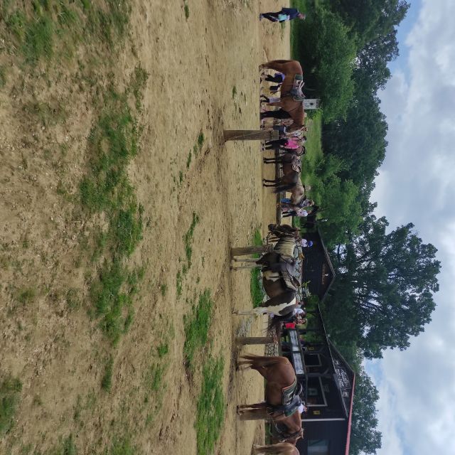 Thessaloniki:Horse Riding in a farm - The Farm Location and Its Charm