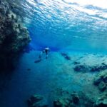 Thingvellir: Silfra Freedive Adevnture with a Guide - Navigating Silfras Ravines with a Guide