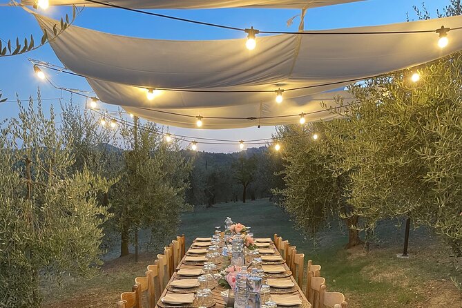 Think of a romantic meal in the Olive Trees shade, accompanied by Tuscan wines! - Starting Point: Meeting at Agriturismo Sanguineto in Montepulciano
