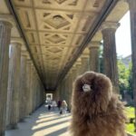 Third Reich Berlin & World War II Private Walking Tour - Starting Point at Berlins Iconic Brandenburg Gate