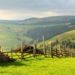 Three days tour of Iasi and UNESCO Painted Monasteries - Visiting the UNESCO-Listed Painted Monasteries of Bucovina