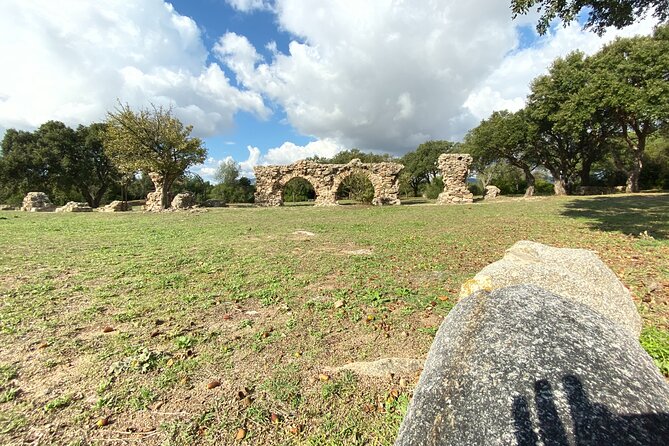 Time Travel - Discover the Ancient Treasures of Sardinia - Logistics and Meeting Arrangements in Olbia