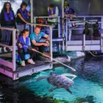 Timmendorfer Strand: SEA LIFE Behind the Scenes Tour - How the Tour Combines Admission and Exclusive Access