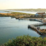 Tirana & Durres :Karavasta Lagoon & Apolonia with Breakfast - From Tirana or Durres: Easy Pickup and Drop-off Options