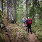 Tiveden National Park: Morning Tour with Breakfast - Starting Point at Tiveden National Park