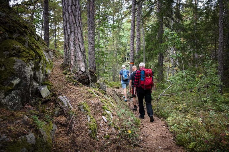 Tiveden National Park: Morning Tour with Breakfast - Starting Point at Tiveden National Park