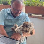 Tivoli Day Trip: Villa DEste & Cooking Class - Exploring Villa d’Este’s Gardens and Fountains