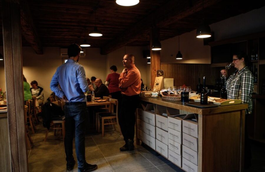 Tokaj: Vineyard Tour & Tasting - Starting at the Winery: Entry into Tokaj’s Wine Heritage