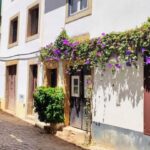 Tomar and Almourol: A Day of Templar Heritage (From Lisbon) - Visiting Almourol Castle: A Fortress on an Island