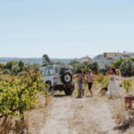 Tomar: Vineyard Tour with Tastings - Touring the Vineyards and Learning About the Climate