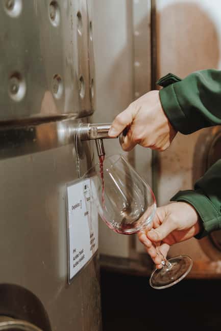 Tomar: Yoga, Meditation and Regional Flavors - The Setting: Yoga and Meditation Amidst Vineyards