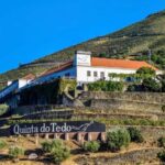Top Douro from Porto: walk + visit + wine tasting + picnic - Tasting Quinta do Tedo Wines and Local Cuisine