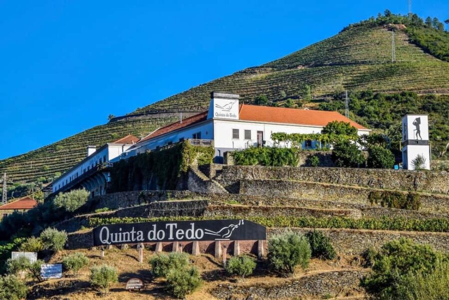 Top Douro from Porto: walk + visit + wine tasting + picnic - Tasting Quinta do Tedo Wines and Local Cuisine