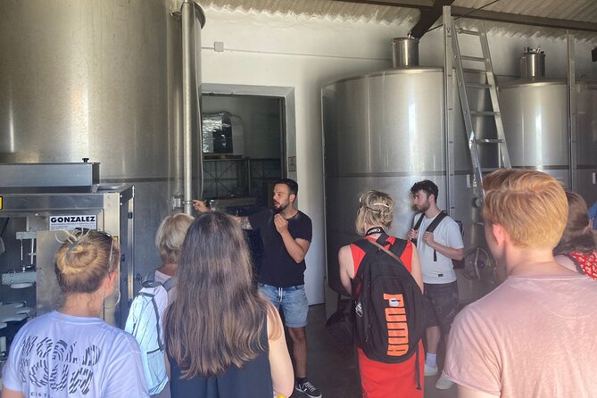 TOP WINE TOUR- Vineyard & cellar visit + 6 top wines + tapas - Exclusive visit to a boutique winery in Fuengirola