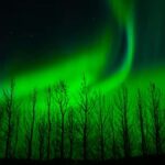 Tornio-Haparanda: Northern Lights Tour - Arctic Wilderness and Scenic Stopovers