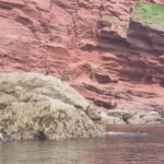 Torquay: Canoe Rental - How the Canoe Rental Works in Torquay