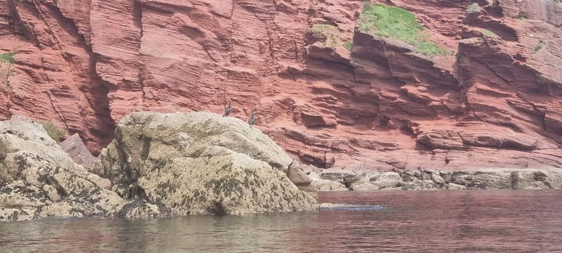 Torquay: Canoe Rental - How the Canoe Rental Works in Torquay