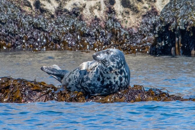 Torquay Coastal RIB Seafari - Meeting Point and Group Size