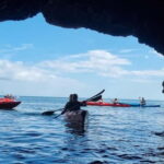 Torquay: Wildlife, Bushcraft and Sea Cave Kayak Safari - Paddling Through the Coastal Caves and Rock Formations