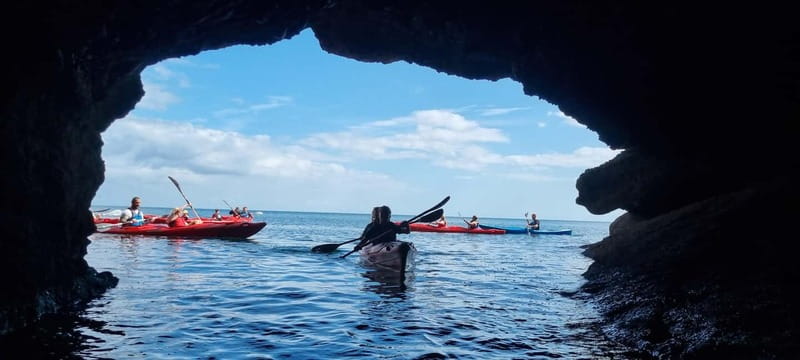Torquay: Wildlife, Bushcraft and Sea Cave Kayak Safari - Paddling Through the Coastal Caves and Rock Formations
