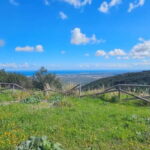 Torre Canne: E-Bike Tour in Coastal Dune Park & Sea Views - Starting Point at La Baia Torre Canne