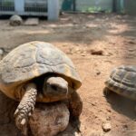 Torre Guaceto EBike Tour - Starting Point at Torre Guaceto: Easy and Convenient