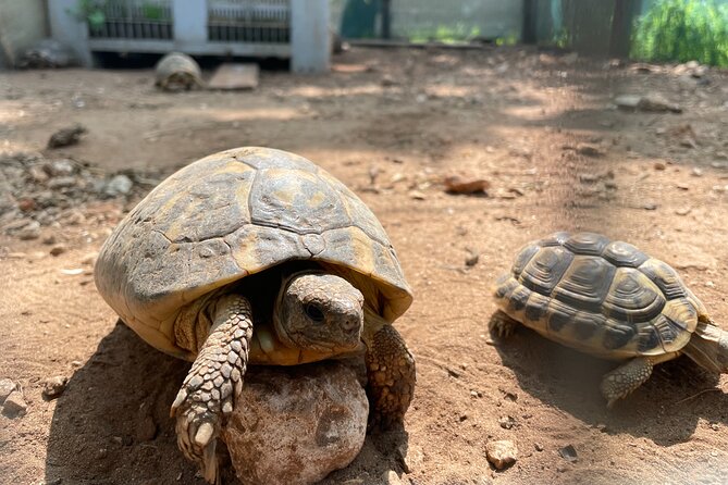 Torre Guaceto EBike Tour - Starting Point at Torre Guaceto: Easy and Convenient