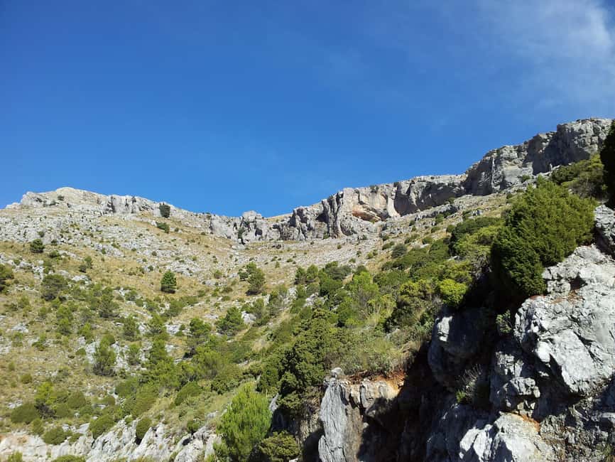 Torremolinos-Benalmádena: Jeep EcoTour - Authentic Andalusia - Who Will Appreciate This Tour Most?