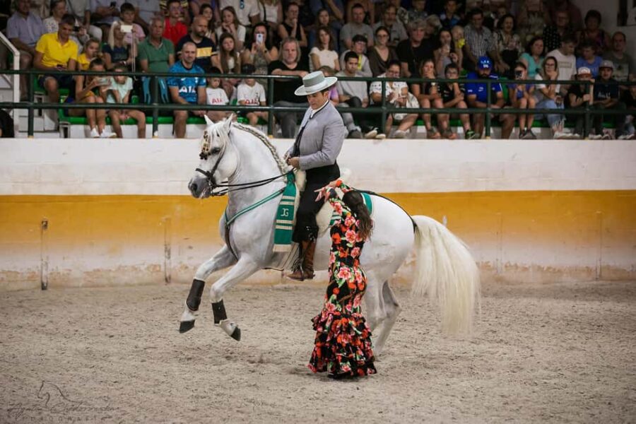 Torremolinos: Spanish horse and flamenco show - The Venue: El Ranchito Equestrian Center in Torremolinos