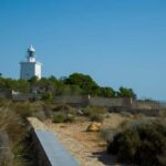 Torrevieja: Local Market and Panoramic Tour - Starting from Alicante: Convenient Pick-Up and Scenic Drive