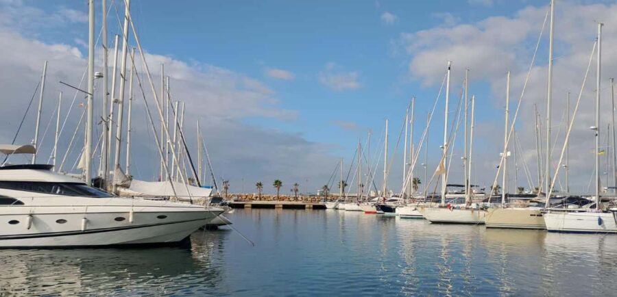 Torrevieja: Tour the harbor with the catamaran Apaleo - The Salt Loading Station and Sea Views