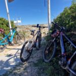 Tortolì Tour in ebike between pine forest and Saracen towers - Exploring the Girasole Pine Forest and Rocce Rosse