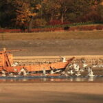 Toru: Sightseeing Cruises on the Vistula River - Unique Setting on a Traditional Vistula Boat