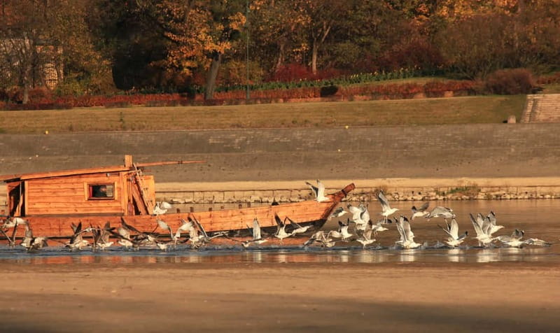 Toru: Sightseeing Cruises on the Vistula River - Unique Setting on a Traditional Vistula Boat