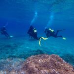 Tossa de Mar: Scuba Diving Experience for Beginners - Learning the Basics with Expert Instructors