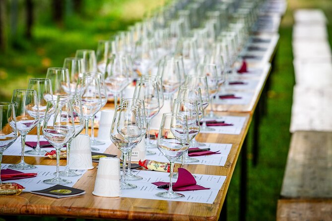 Tour and 3 wines tasting in the Prosecco Hills - Exploring De Riz Winery in San Pietro di Feletto