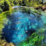 Tour and guide Blue Eye  Butrint - Visiting the Blue Eye: Nature’s Transparent Treasure