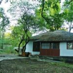 Tour: Discover Gagauzia and the Manuc Bey Mansion - Tasting Gagauzian Flavors with a Traditional Lunch