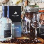 Tour in the Winery and tasting - Visiting the Unique Underground Cellar