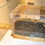 Tour & learn - The Starting Point in Rhodes: Convenience and Comfort