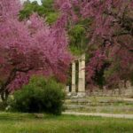 Tour of the archaeological site of Olympia by an Italian-Greek archaeologist - The Rich History of Olympia Unveiled