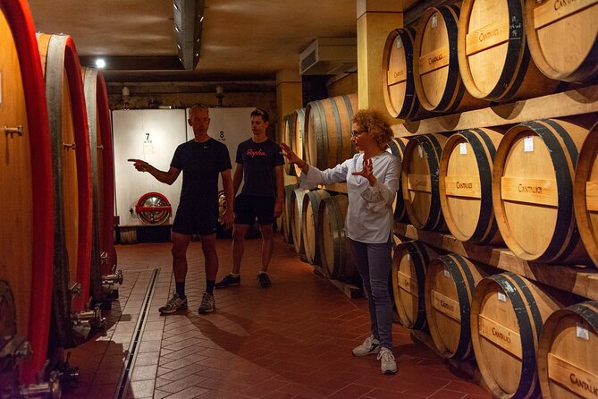 Tour of the cellar and tasting of 6 wines - Exploring the 1500s Brick Kiln and Historical Elements