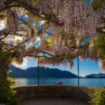 Tour of the most beautiful Villas of Lake Como - Discover the Beautiful Villas of Lake Como for $1,083.47 Per Person