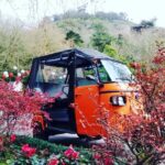 Tour Sintra Palaces & Mountain - Discovering Sintra’s Historic Palaces and Gardens