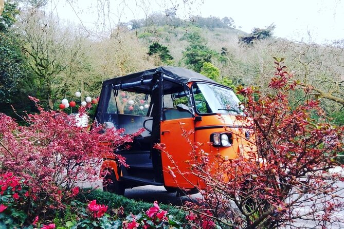 Tour Sintra Palaces & Mountain - Discovering Sintra’s Historic Palaces and Gardens