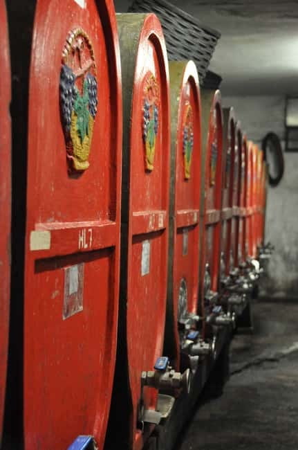Tour & tasting at Tenuta la Viola - Visiting the Historic Cellar and Decorated Barrels