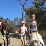 Tour the Sanctuary and Walk with the Donkeys and Share their Love - Meeting Point and Timing for the Donkey Walk